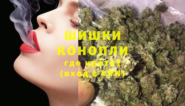 spice Няндома