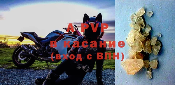 СК Новозыбков