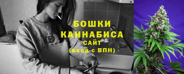СК Новозыбков