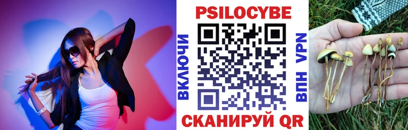 Псилоцибиновые грибы ЛСД  наркошоп  Избербаш 