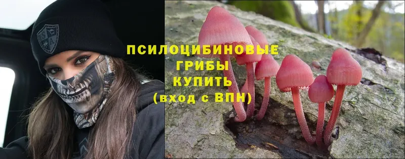 Галлюциногенные грибы Magic Shrooms  ОМГ ОМГ ссылка  Избербаш  закладки 