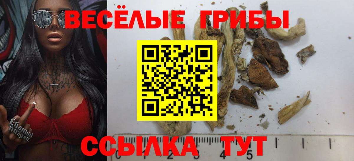 Галлюциногенные грибы Magic Shrooms  Избербаш 