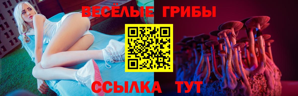 Галлюциногенные грибы прущие грибы Избербаш